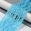 Transparent Glass Beads Strands EGLA-A034-T4mm-MB08-2