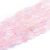 Raw Rough Natural Rose Quartz Beads Strands G-I279-B16-1