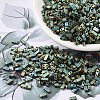 MIYUKI Half TILA Beads SEED-MY05-HTL2008-1