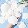 20Pcs 4 Style Natural Scallop Shells SSHEL-PH0001-23-3