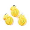 Opaque Resin Pendants LS-RESI-S013-02I-1
