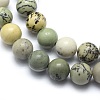 Natural Dendritic Jasper Beads Strands X-G-E501-8mm-01-3