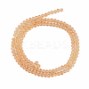 Glass Beads Strands EGLA-A034-T6mm-D23-1