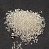 12/0 Transparent Glass Round Seed Beads SEED-J010-F12-21-2