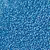 MIYUKI Round Rocailles Beads SEED-X0054-RR0573-3