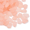 Frosted Transparent Acrylic Beads OACR-P029-04B-03-2