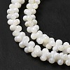 Natural Freshwater Shell Beads Strands BSHE-E026-17-4