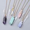 Natural Gemstone Perfume Bottle Pendant Necklaces NJEW-F251-09-2