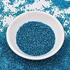 MIYUKI Delica Beads SEED-JP0008-DB2385-2
