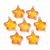 Marine Series Transparent Resin Pendants RESI-E031-02P-05-5