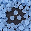 Frosted Transparent Acrylic Beads OACR-P029-03B-01-1