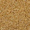 MIYUKI Round Rocailles Beads SEED-JP0008-RR0003-3