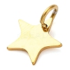 304 Stainless Steel Charms STAS-Q331-01E-2