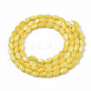Natural Freshwater Shell Beads Strands X-SHEL-N003-25-B05-2