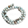 Natural Larimar Beads Strands G-L642-B19-8mm-3