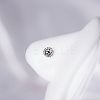 201 Stainless Steel Micro Pave Clear Cubic Zirconia Nose Studs FS-WGACC22-04-1