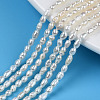 Natural Cultured Freshwater Pearl Beads Strands PEAR-N012-02I-1