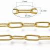Brass Paperclip Chains CHC-S008-001B-G-6