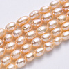 Natural Cultured Freshwater Pearl Beads Strands PEAR-T001-06B-2