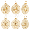 Beebeecraft 10Pcs 2 Style Rack Plating Brass Cler Cubic Zirconia Pendants KK-BBC0004-60-1