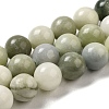 Natural Jade Beads Strands G-H298-A16-05-1