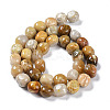 Natural Fossil Coral Beads Strands G-C038-02T-4