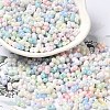 Opaque Colours Luster Glass Seed Beads SEED-B001-01A-06-1