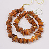Natural Shell Beads Strands PBB226Y-1-2