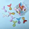 Resin Pendants CRES-SC0001-04-4