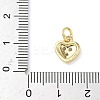 Brass Micro Pave Cubic Zirconia Pendants ZIRC-I356-26G-3