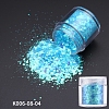 Holographic Nail Art Sequins Glitter MRMJ-K006-08-04-2