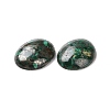 Natural Malachite Cabochons G-E464-42U-3