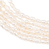 Natural Cultured Freshwater Pearl Beads Strands PEAR-D003-01D-03-4