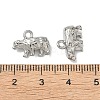 304 Stainless Steel Charms LS-STAS-I367-10P-3