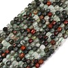 Natural African Bloodstone Beads Strands G-A260-A38-01-5