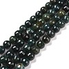 Natural Moss Agate Beads Strands G-E571-21C-1