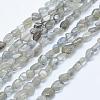 Natural Labradorite Beads Strands G-K203-12-1