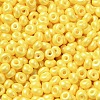 Baking Paint Luster Glass Seed Beads SEED-B001-04A-06-3