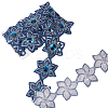 Iron on/Sew on Ethnic Style Embroidery Flower Polyester Lace Ribbons OCOR-WH0060-47B-1