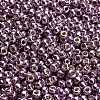 TOHO 6/0 Round Beads SEED-TR06-PF0554-4