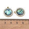 Natural Paua Shell Pendants SA-CBA11D7-19B-G-3
