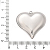 304 Stainless Steel Pendants LS-STAS-Q349-02C-P-3