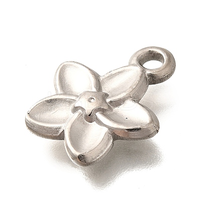 304 Stainless Steel Pendants STAS-P381-10P-1