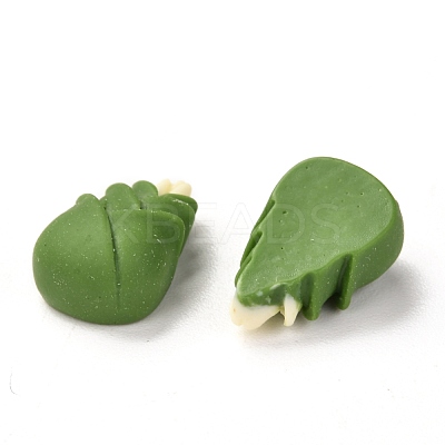 Opaque Resin Cabochons RESI-G018-04-1