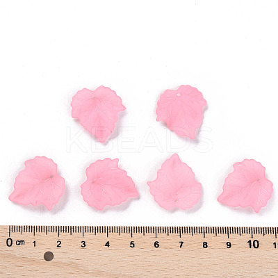 Autumn Theme Transparent Frosted Acrylic Pendants PAF002Y-10-1