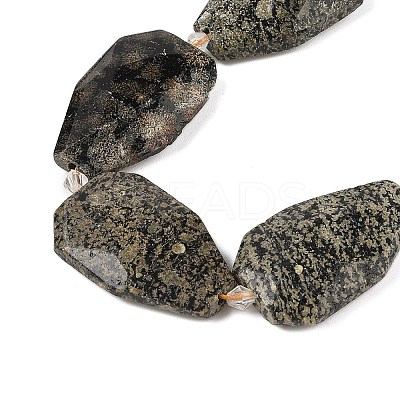 Natural Snowflake Obsidian Beads Strands G-P548-B20-01-1