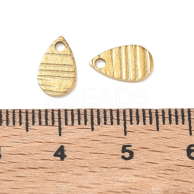 304 Stainless Steel Charms STAS-G393-05G-03-1