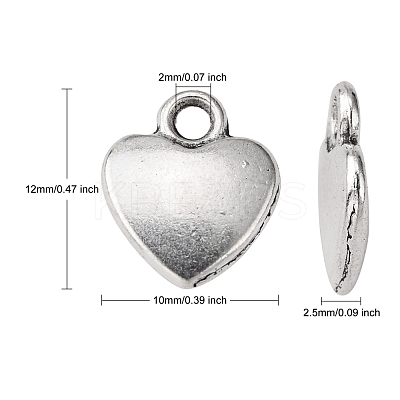 Tibetan Style Alloy Charms X-LF1170Y-1