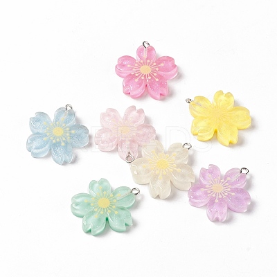 Transparent Resin Pendants RESI-G046-07P-1