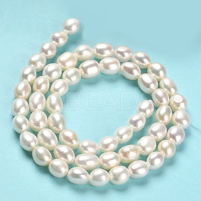 Natural Cultured Freshwater Pearl Beads Strands PEAR-E016-068-1